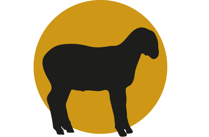 Lechazo de Burgos